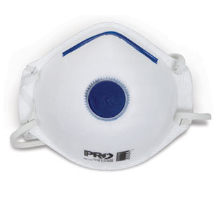Disposable Dust Masks