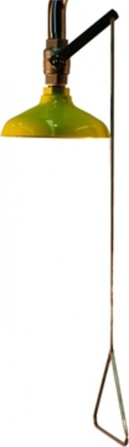 Ceiling Mounted Deluge Shower