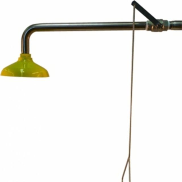 Wall Mounted Safety Shower
